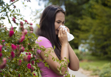 Save the trees, prevent the sneeze